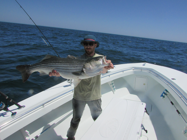 Galilee Rhode Island Sportfishing Charters